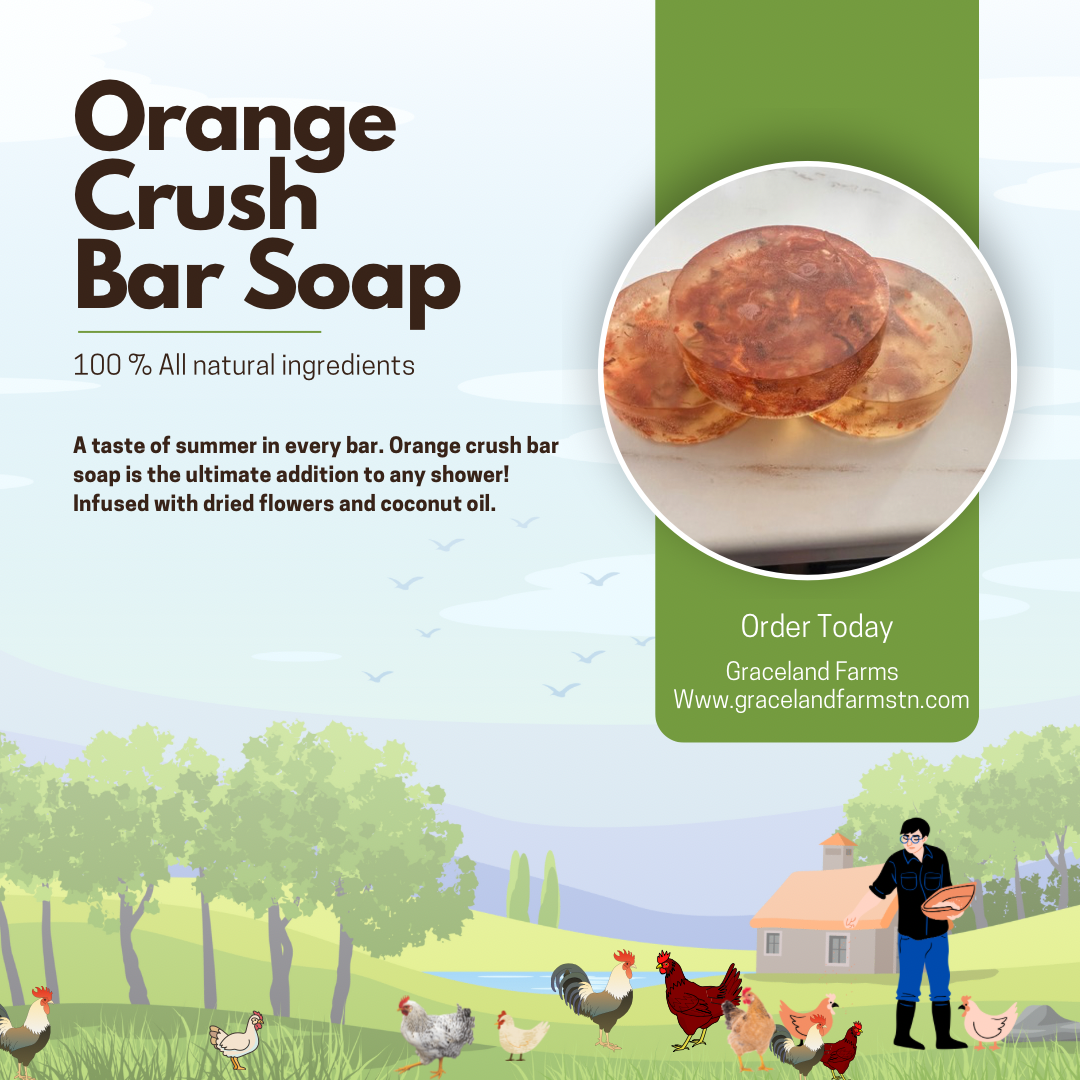 Orange Crush Bar Soap